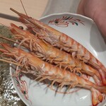 神田錦町 鮨たか晴 - 茹で立ての車海老