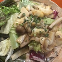 魚竹 - 