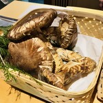 馳走 啐啄一十  - 松茸