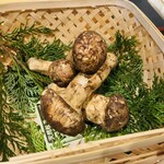 馳走 啐啄一十  - 地物の松茸