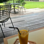 Hakone Emoa Terrace - コールドプレスのオレンジ・ジュース