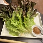 ホルモン さわ - サンチュ