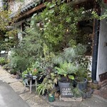 CLAMP COFFEE SARASA - 