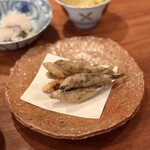 オテルドゥオガワ - 