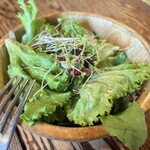 イル・ピッツァイオーロ - サラダ