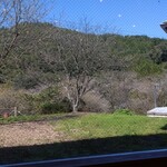 相間川温泉　ふれあい館 - ４番テーブルからの景色。