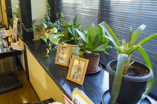 みどり食堂 - 鶴岡（食堂）の写真