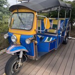 マンゴツリーカフェ - 