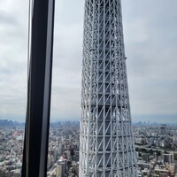 ブラッスリーオザミ 東京スカイツリータウン･ソラマチ店 - スカイツリーが目の前に