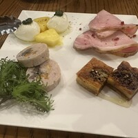 ブラチェリア バーヴァ - 