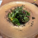 リストランテ ティー ブイ ビー - 13種類の野菜のサラダ　あおり烏賊とからすみ