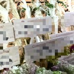 カフェ ラ･ボエム - 