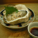 司 - 岩牡蠣