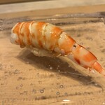 鮨　いの - 車海老