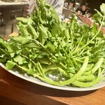 スガラボヴィー - 