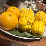 スガラボヴィー - 