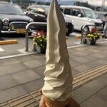 道の駅 田切の里 田切ふるさと市場 - 