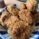 志多美屋本店 - 厚いヒレかつ6個