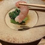 センティウ - ナミクダヒゲエビが♥️