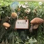 Shangri-La’s secret - 