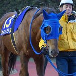 わらじ亭 - こちらも南関卒業生、岩手で11歳までがんばってくれたポイントプラス