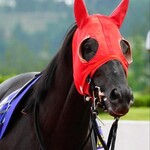 わらじ亭 - 南関東を卒業してから岩手で11歳まで活躍してくれたセンティグレード