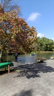 Karuizawa Burger Company