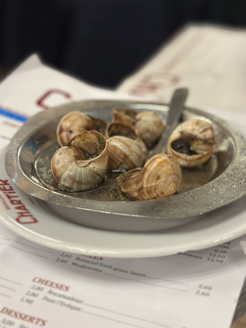 【新品】 Bouillon CHARTIER ディナープレート パリで購入】BOUILLON CHARTIER ディナープレート - メルカリ