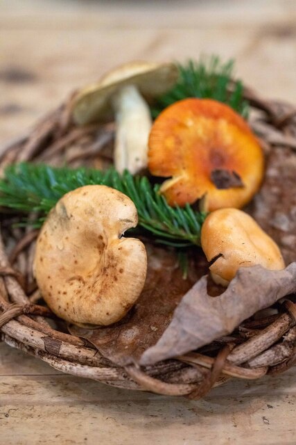 OSTERIA SELVAGGINA photo