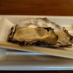 BAY OYSTER - 