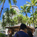 Island Vintage Shave Ice - 