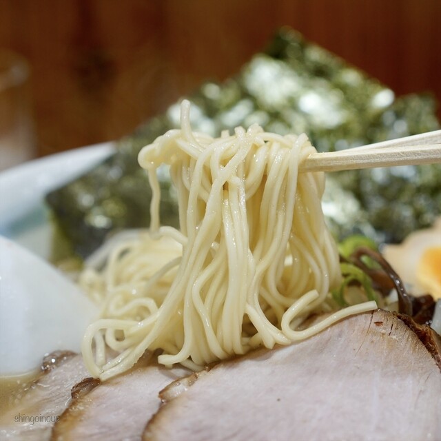 Hikari Hishio photo 4