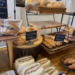 セイルノッツ - 