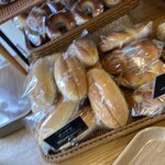 セイルノッツ - 