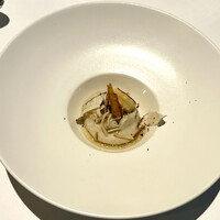 XEX TOKYO / Salvatore Cuomo Bros. - 