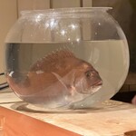 日本料理 別府 廣門 - 