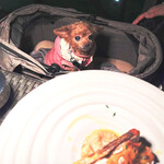 リストランテ 桜鏡 - くるみ