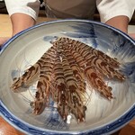 日本料理 別府 廣門 - 