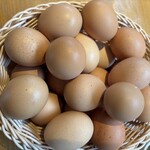 糸島ファームハウス UOVO - 