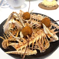 macua - 