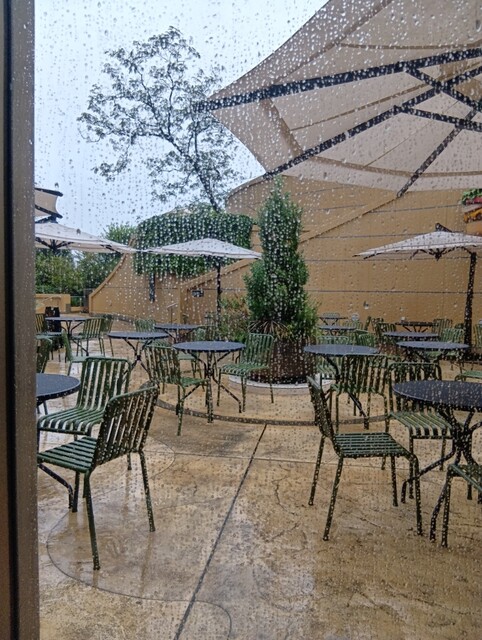 TOTHEHERBS Nanba Parks Ten photo 4