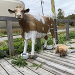 ニセコチーズ工房 - 