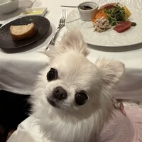 アルベロ ネロ - 