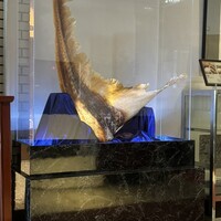 中国飯店 三田店 - ふかひれ