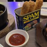 韓無量 - ジャンキーな魅力スパムフライ