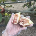 赤まる農園 フルーツスタンド - 