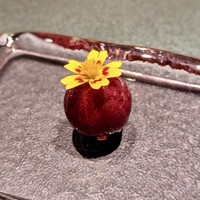 l'intemporel - 