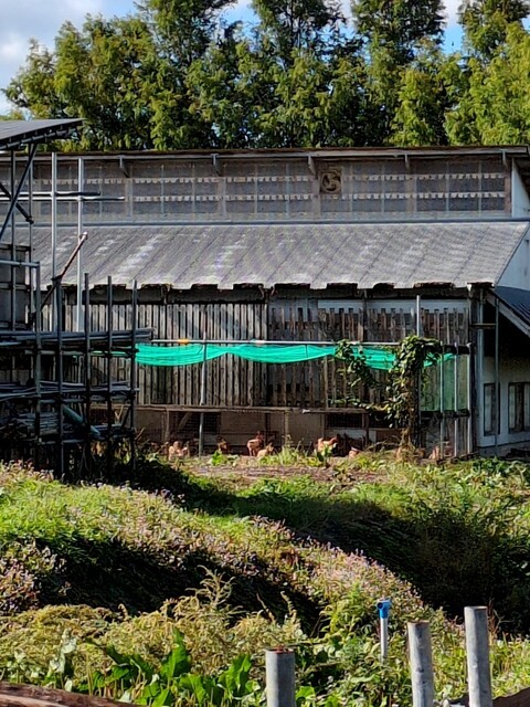 Farm&Garden KOKO189（ココワンパク） - 鶴岡（その他）の写真