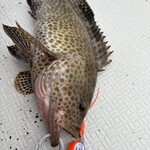 伊勢道安濃SA（上り） 安濃横丁 - オオモンハタ。淡白で美味しい魚です