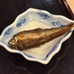 山玄茶 - モロコ